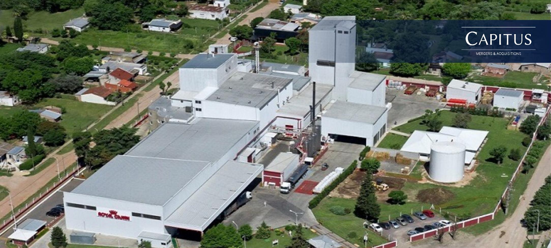 Sector Nutrición Animal y Petfood